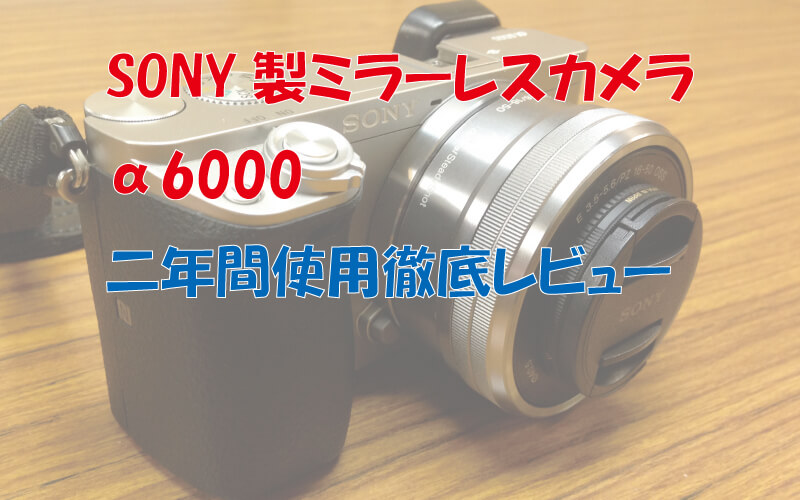 SONY製ミラーレスカメラα6000二年間使用レビュー！8つのメリットと4つのデメリット 有限会社オーヴィックス