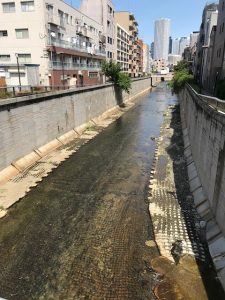 中野区の隅田川